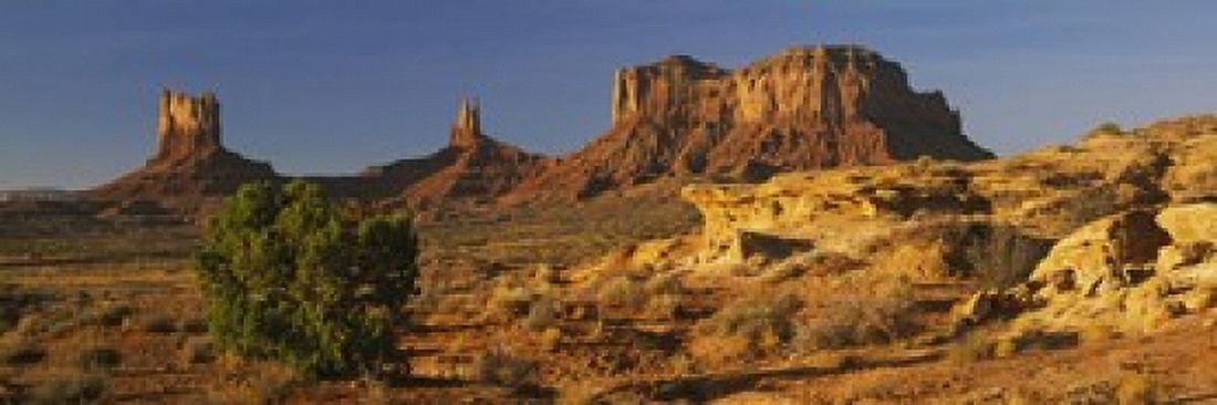 Rock formations on a landscape Monument Valley Arizona USA Canvas Art - Panoramic Images (18 x 6)