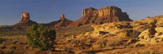Rock formations on a landscape Monument Valley Arizona USA Canvas Art - Panoramic Images (36 x 12)