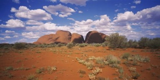 Rock formations on a landscape Olgas Northern Territory Australia Canvas Art - Panoramic Images (24 x 12)