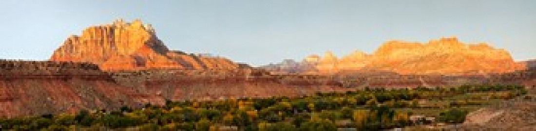 Rock formations on a landscape Zion National Park Springdale Utah USA Canvas Art - Panoramic Images (40 x 10)