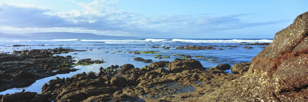 Rock formations on beach at sunrise Las Rocas Beach Baja California Mexico Canvas Art - Panoramic Images (36 x 12)