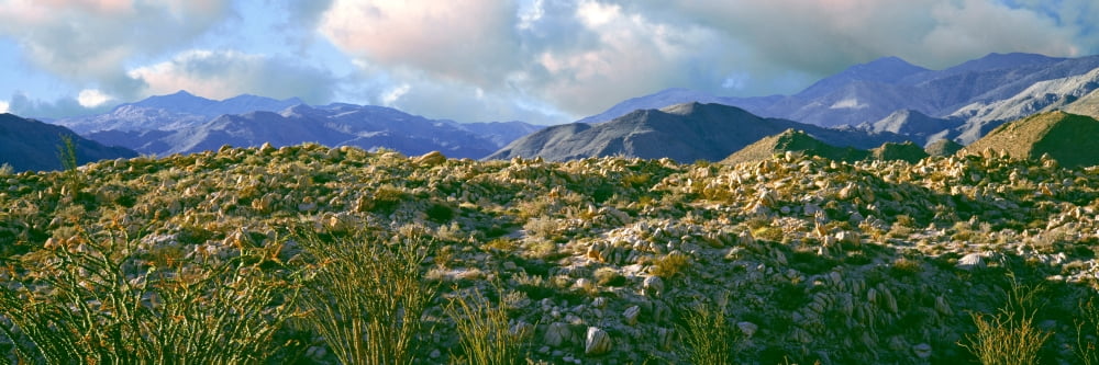 Rock formations on landscape at sunrise Bow Willow Campground Anza Borrego Desert State Park California USA Canvas Art - Panoramic Images (6 x 18)