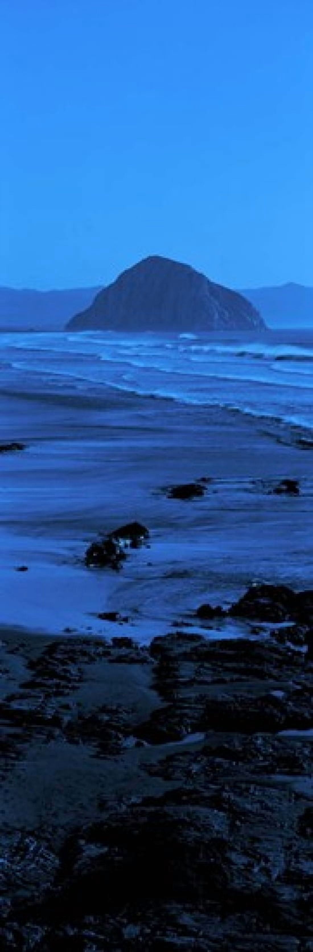 Rock formations on the beach Morro Rock Morro Bay California USA Canvas Art - Panoramic Images (36 x 12)