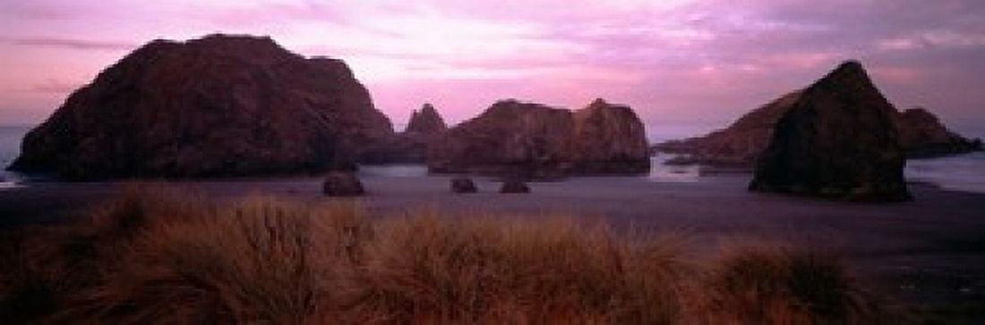 Rock formations on the beach Myers Creek Beach Oregon USA Canvas Art - Panoramic Images (18 x 6)