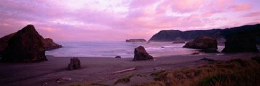 Rock formations on the beach Myers Creek Beach Oregon USA Canvas Art - Panoramic Images (18 x 6)