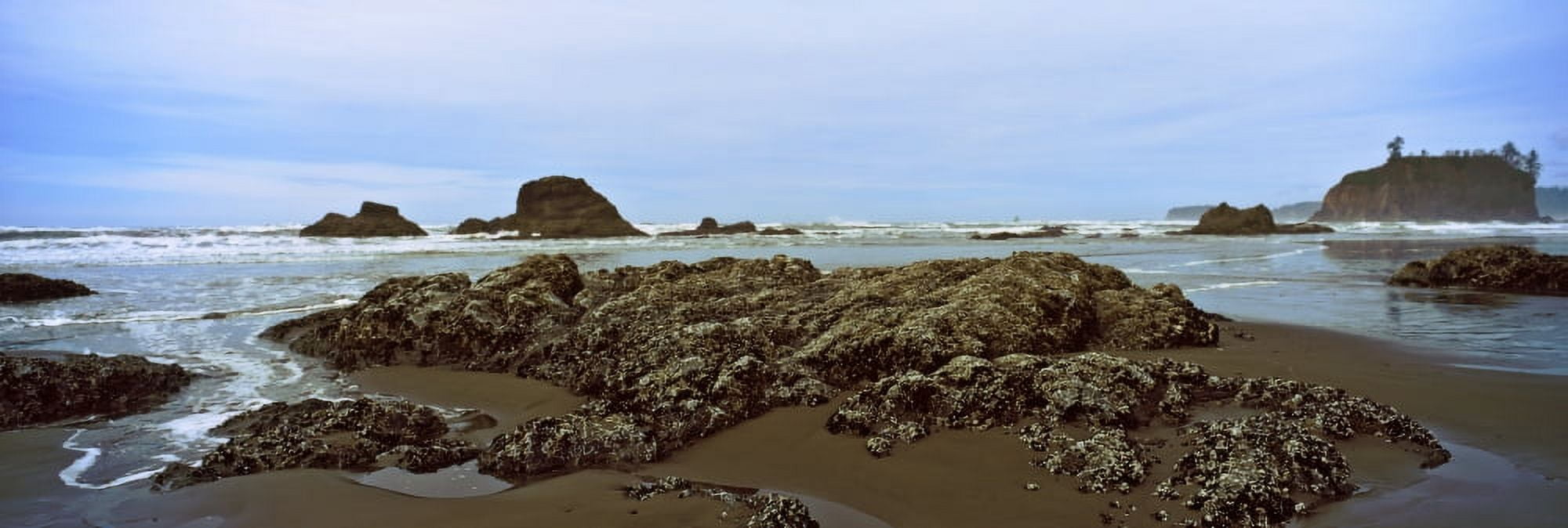 Rock formations on the beach Ruby Beach Olympic National Park Olympic Peninsula Washington State USA Canvas Art - Panoramic Images (27 x 9)