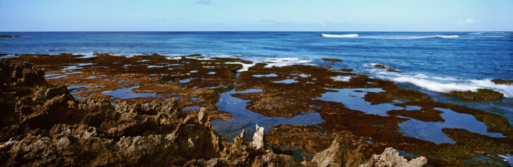 Rock formations on the coast Oahu Hawaii USA Canvas Art - Panoramic Images (27 x 9)