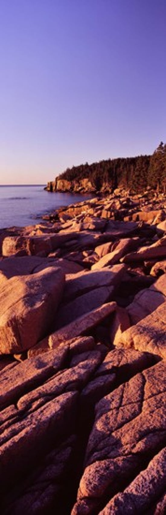 Rock formations on the coast at sunset Acadia National Park Maine Canvas Art - Panoramic Images (18 x 6)