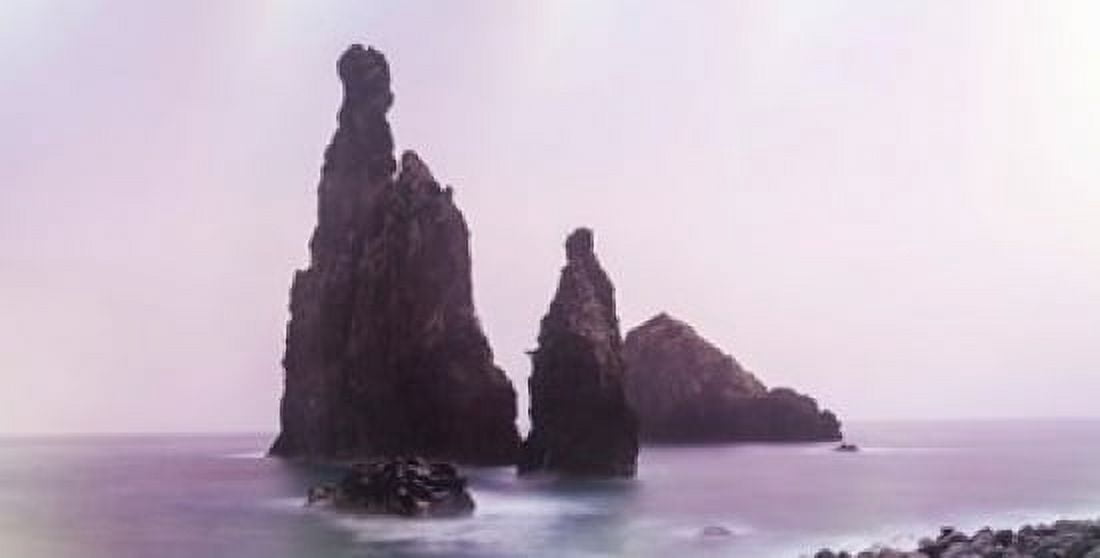 Rock outcrop at coast Ribeira Da Janela Porto Moniz Madeira Portugal Canvas Art - Panoramic Images (24 x 12)