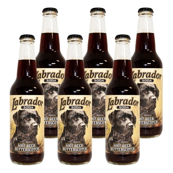 Rocket Fizz Labrador Root Beer Butterscotch Soda Flavor | Cane Sugar | Craft Soda Pop Drinks | 12 oz in Glass Bottle (6 Pack)