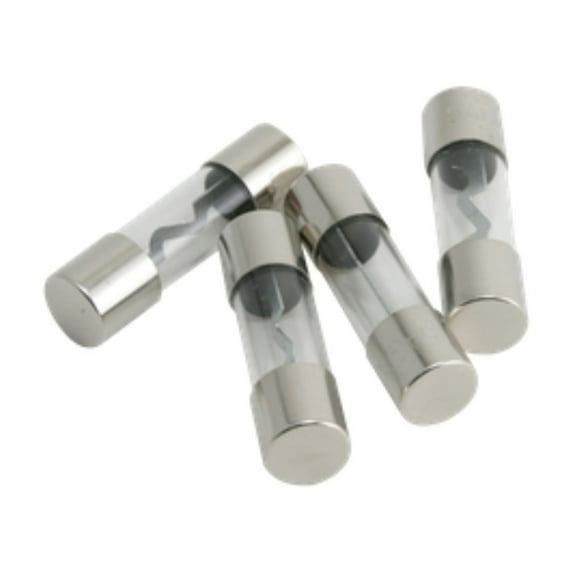 Rockford Fosgate 40 Amp AGU Fuse Platinum Finish (4-Pack) RFFU40