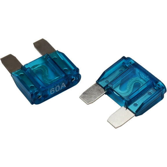 Rockford Fosgate RFFM60 60 Amp Maxi Fuse (2 Pack)