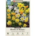 thumbnail image 1 of Rockgarden Narcissus Mix 14 Bulbs - 12/14 cm Bulbs, 1 of 4