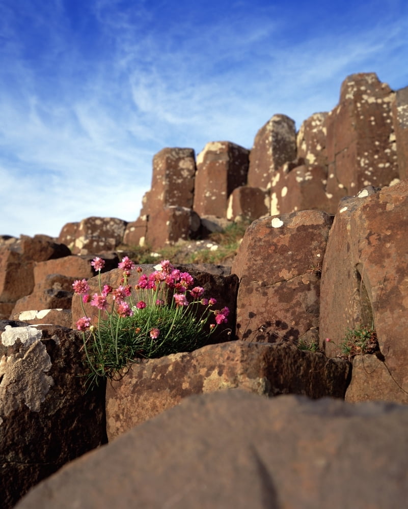 Rocks At A Causeway Giant's Causeway County Antrim Northern Ireland by ...