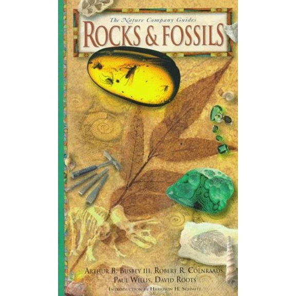 Pre-Owned Rocks and Fossils by Robert R. Coenraads (Hardcover)
