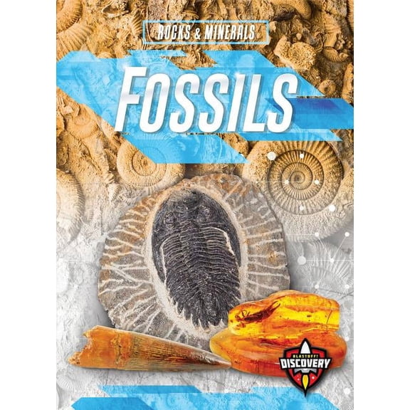Rocks & Minerals: Fossils (Paperback)