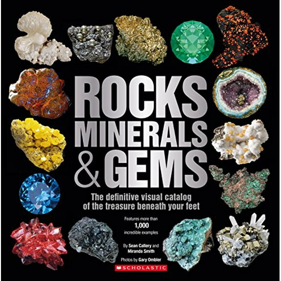 Pre-Owned Rocks, Minerals & Gems (Hardcover) 0545947197 9780545947190