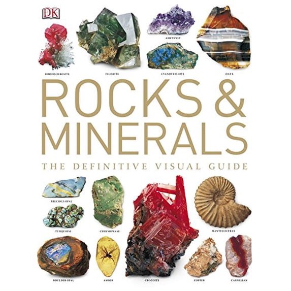 Pre-Owned Rocks and Minerals (Hardcover) 1405328312 9781405328319