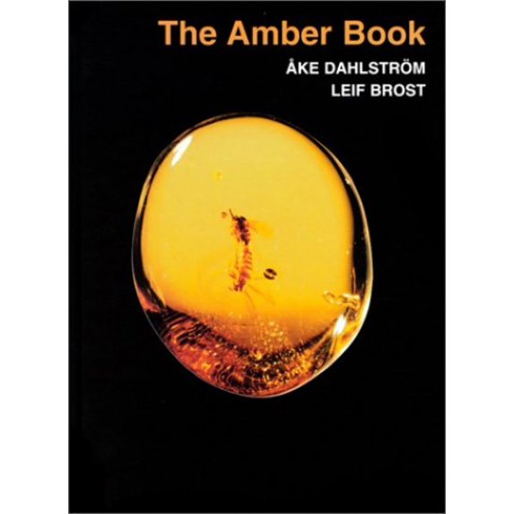 Pre-Owned The Amber Book: Ake Dahlstrom and Leif Brost (Hardcover) 0945005237 9780945005230