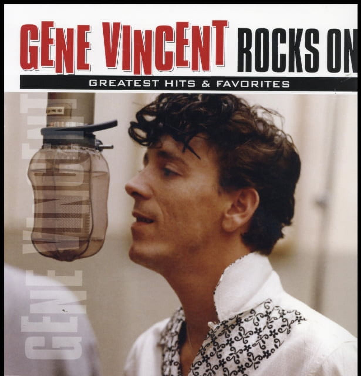 Rocks On: Greatest Hits & Favorites (Vinyl)
