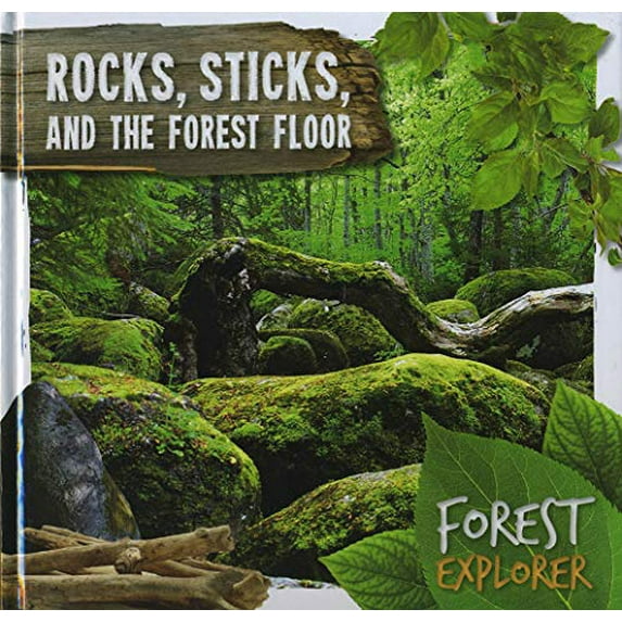 Rocks, Sticks & The Forest Floor