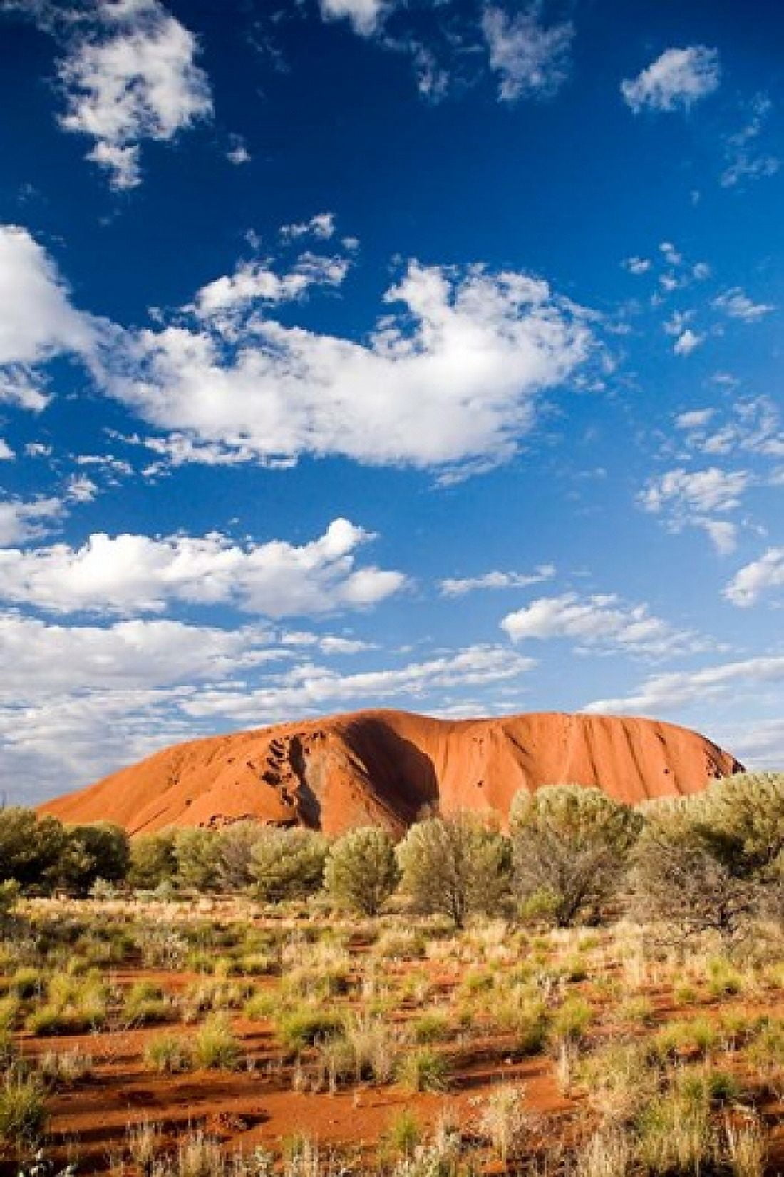 Rocks Uluru-Kata Tjuta NP Northern Territory Australia Canvas Art - David Wall DanitaDelimont (18 x 26)