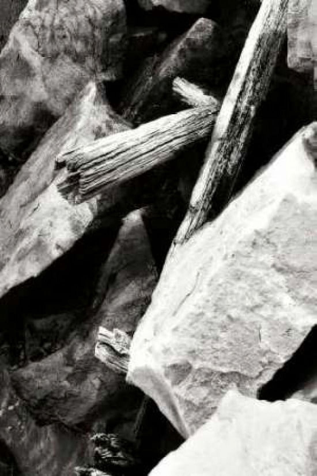 Rocks and Wood I BW Canvas Art - Alan Hausenflock (20 x 28)