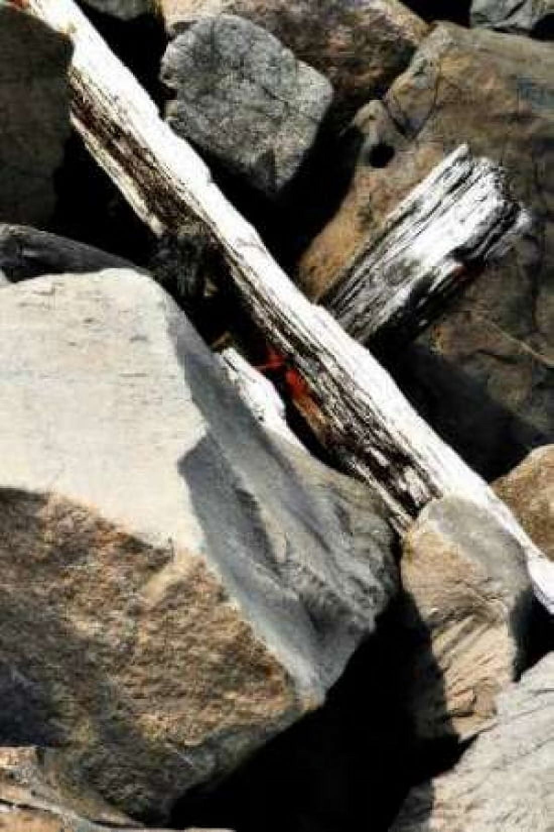 Rocks and Wood II Canvas Art - Alan Hausenflock (20 x 28)