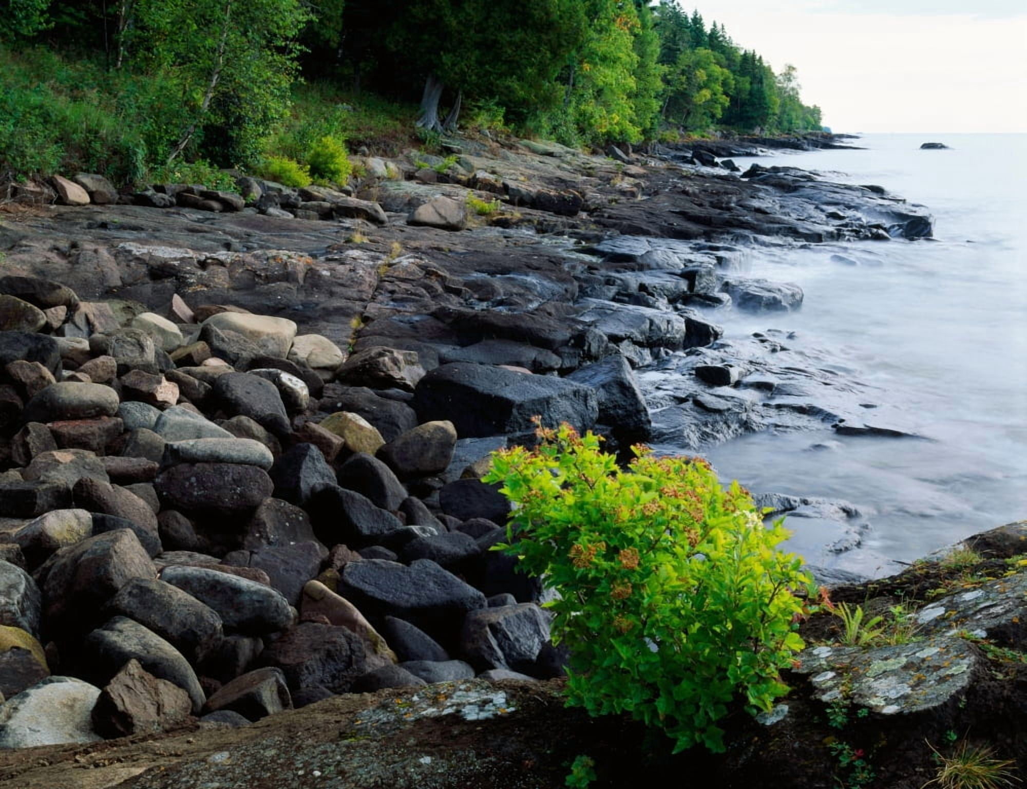 Rocks and trees along Lake Superior shoreline Cascade River State Park Minnesota USA Canvas Art - Panoramic Images (9 x 27)
