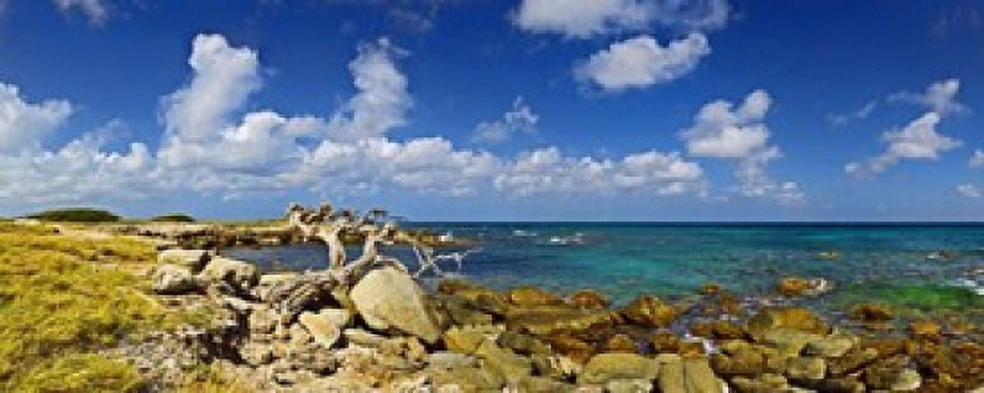 Rocks at the coast Aruba Canvas Art - Panoramic Images (15 x 6)