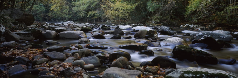 Rocks in a river Great Smoky Mountains National Park Tennessee USA Canvas Art - Panoramic Images (12 x 36)