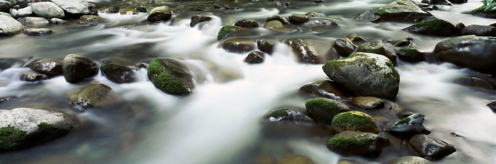 Rocks in a river Little Pigeon River Great Smoky Mountains National Park Tennessee USA Canvas Art - Panoramic Images (12 x 36)