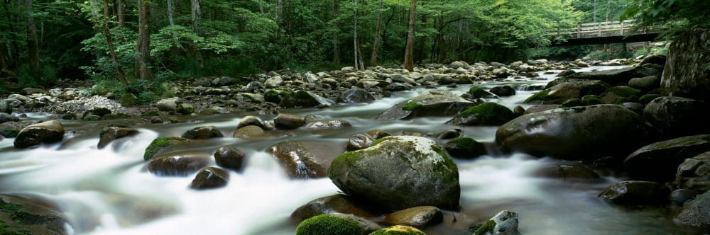 Rocks in a river Little Pigeon River Great Smoky Mountains National Park Tennessee USA Canvas Art - Panoramic Images (12 x 36)
