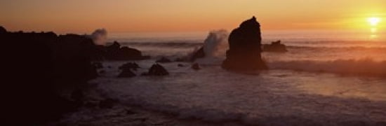 Rocks in the sea California USA Canvas Art - Panoramic Images (36 x 12)
