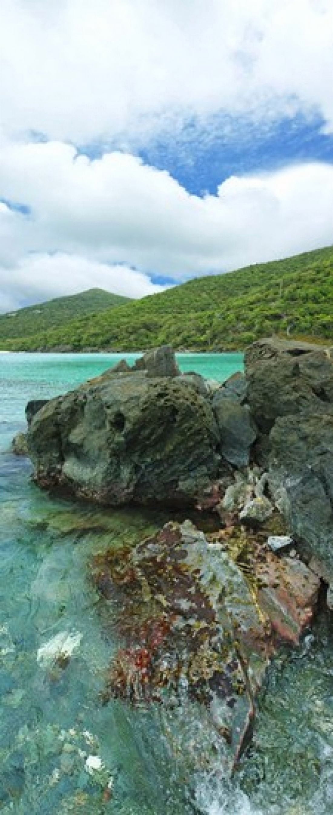 Rocks in the sea Jumbie Bay St John US Virgin Islands Canvas Art - Panoramic Images (15 x 6)
