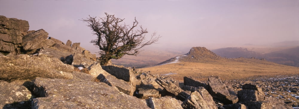 Rocks on a hill Dartmoor Devon England Canvas Art - Panoramic Images (36 x 12)