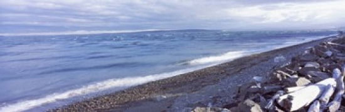 Rocks on the coast Fort Casey State Park Island County Washington State USA Canvas Art - Panoramic Images (18 x 6)