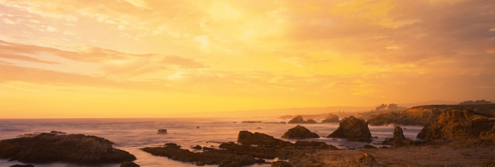 Rocks on the coast Mendocino California USA Canvas Art - Panoramic Images (36 x 12)