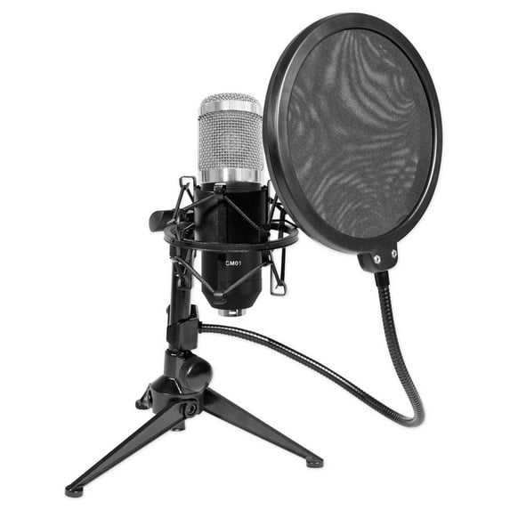 Rockville RCM01 Studio Recording Condenser Microphone+Shockmount+Stand+Filter