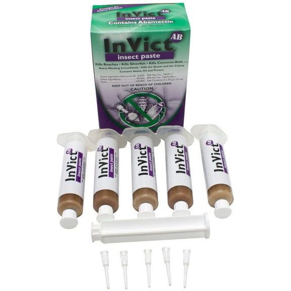 Rockwell Labs Indoor & Outdoor Insect Paste Ants & Cockroaches Killer, 1 oz