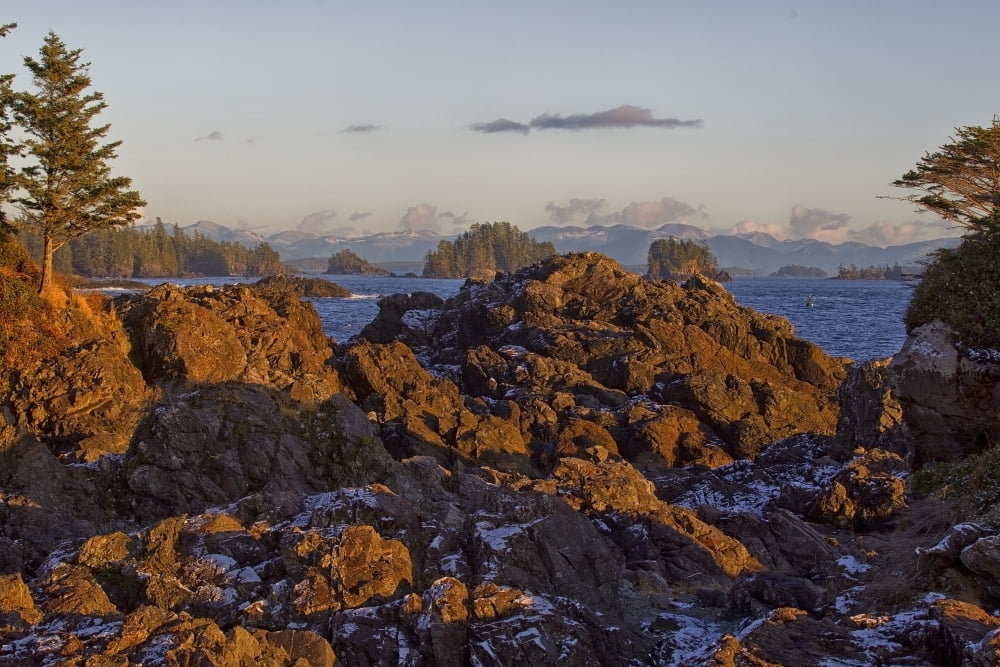 Rocky Coastline With Snow Ucluelet Vancouver Island British Columbia Canada Canvas Art - Robert Postma Design Pics (36 x 24)