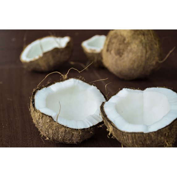 Rocky Creek Candles - Coconut - Body Lotion