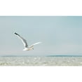 thumbnail image 1 of Rocky Creek Candles - Sea Breeze - 10 Oz Candle - White Tumbler, 1 of 1