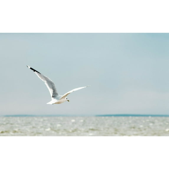 Rocky Creek Candles - Sea Breeze - Sugar Scrub