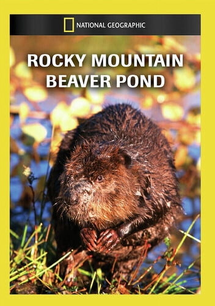 Rocky Mountain Beaver Pond (DVD), National Geographic, Documentary