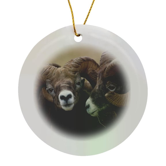 3drose, Rocky Mountain Bighorn Sheep Rams, Circle Porcelain Ornament
