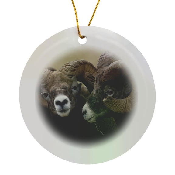 3drose, Rocky Mountain Bighorn Sheep Rams, Circle Porcelain Ornament