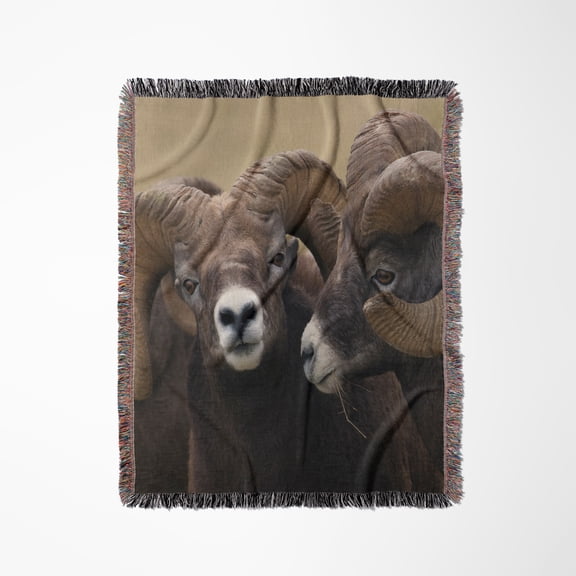 Rocky Mountain Bighorn Sheep Rams, Woven Blanket