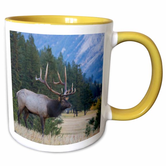3drose, Rocky Mountain Bull Elk ., 15oz Two-tone Yellow Mug