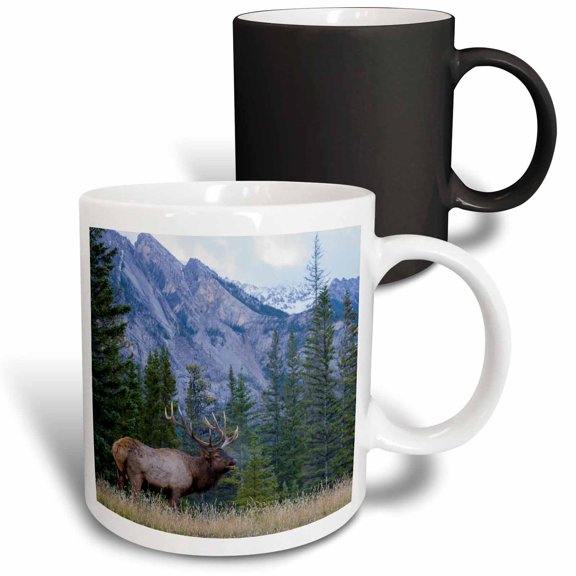 3drose, Rocky Mountain Bull Elk Bugling., 11oz Magic Transforming Mug